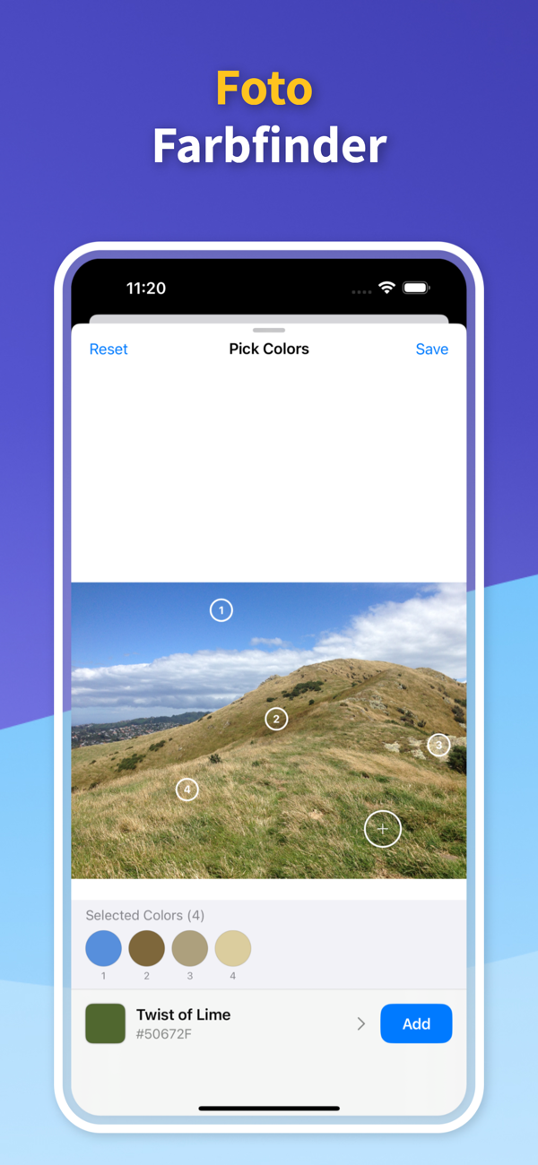 Saved Color Palettes