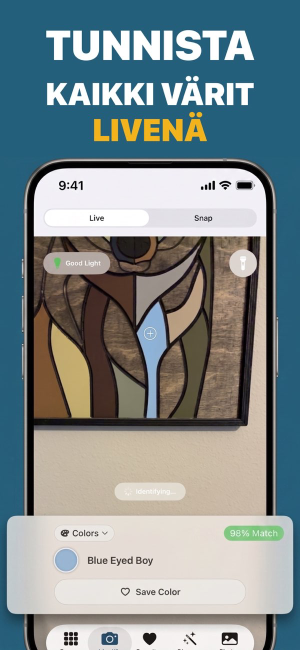 Color Identifier App Interface
