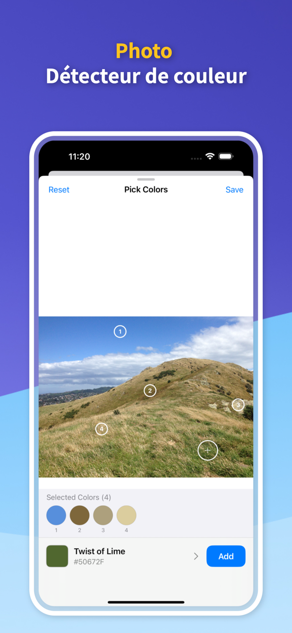 Saved Color Palettes
