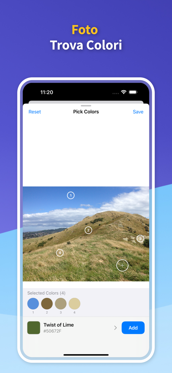 Saved Color Palettes
