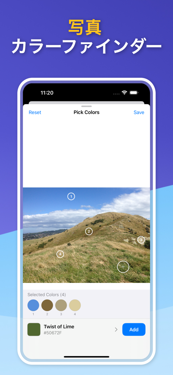 Saved Color Palettes