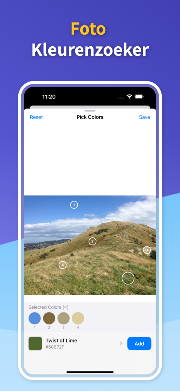 Saved Color Palettes