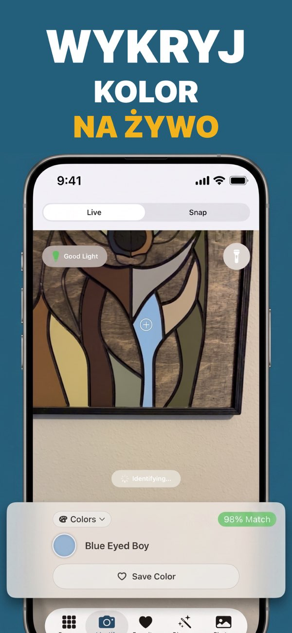 Color Identifier App Interface