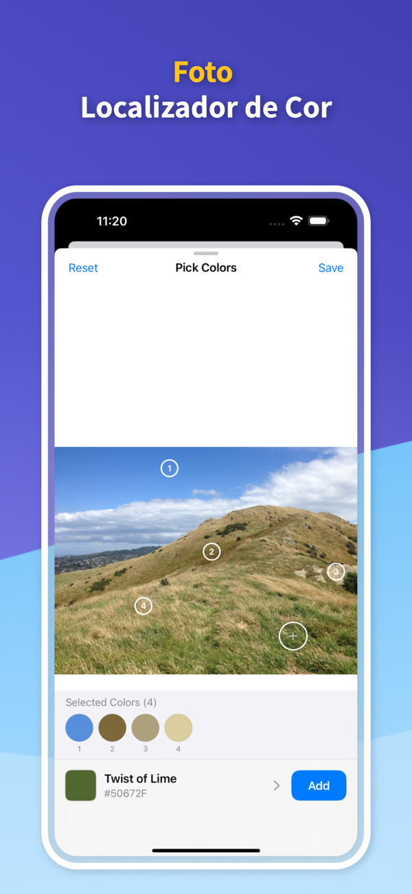 Saved Color Palettes
