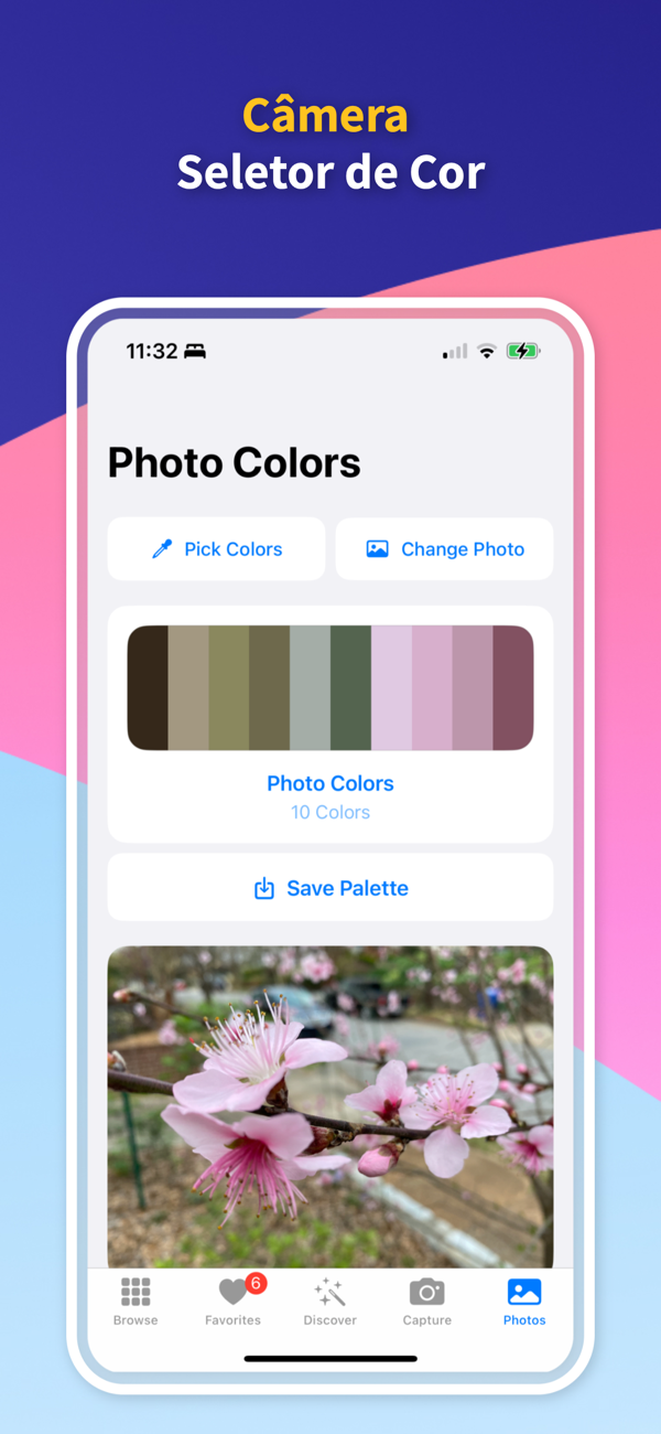 Custom Palette Creator