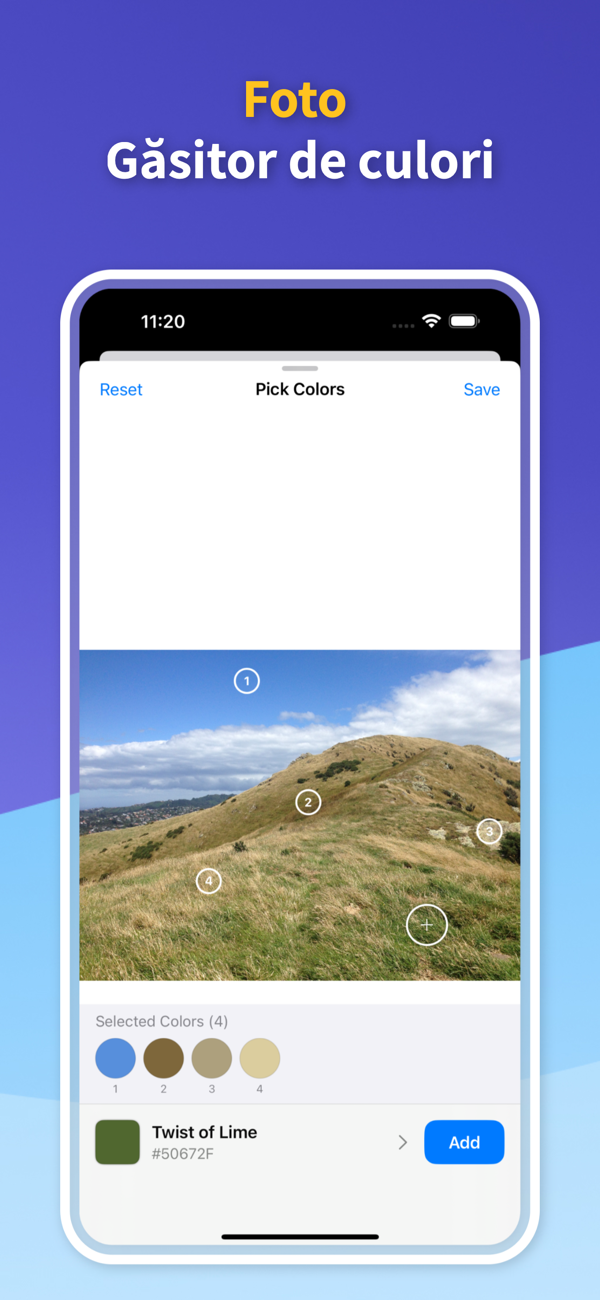 Saved Color Palettes