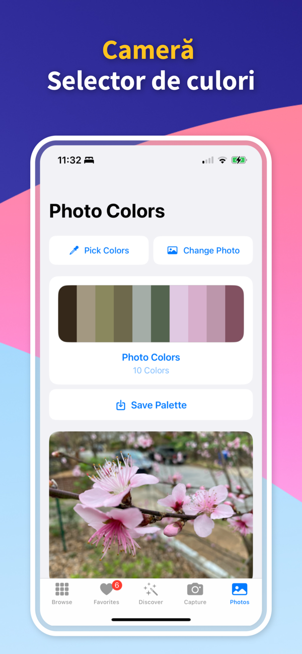 Custom Palette Creator