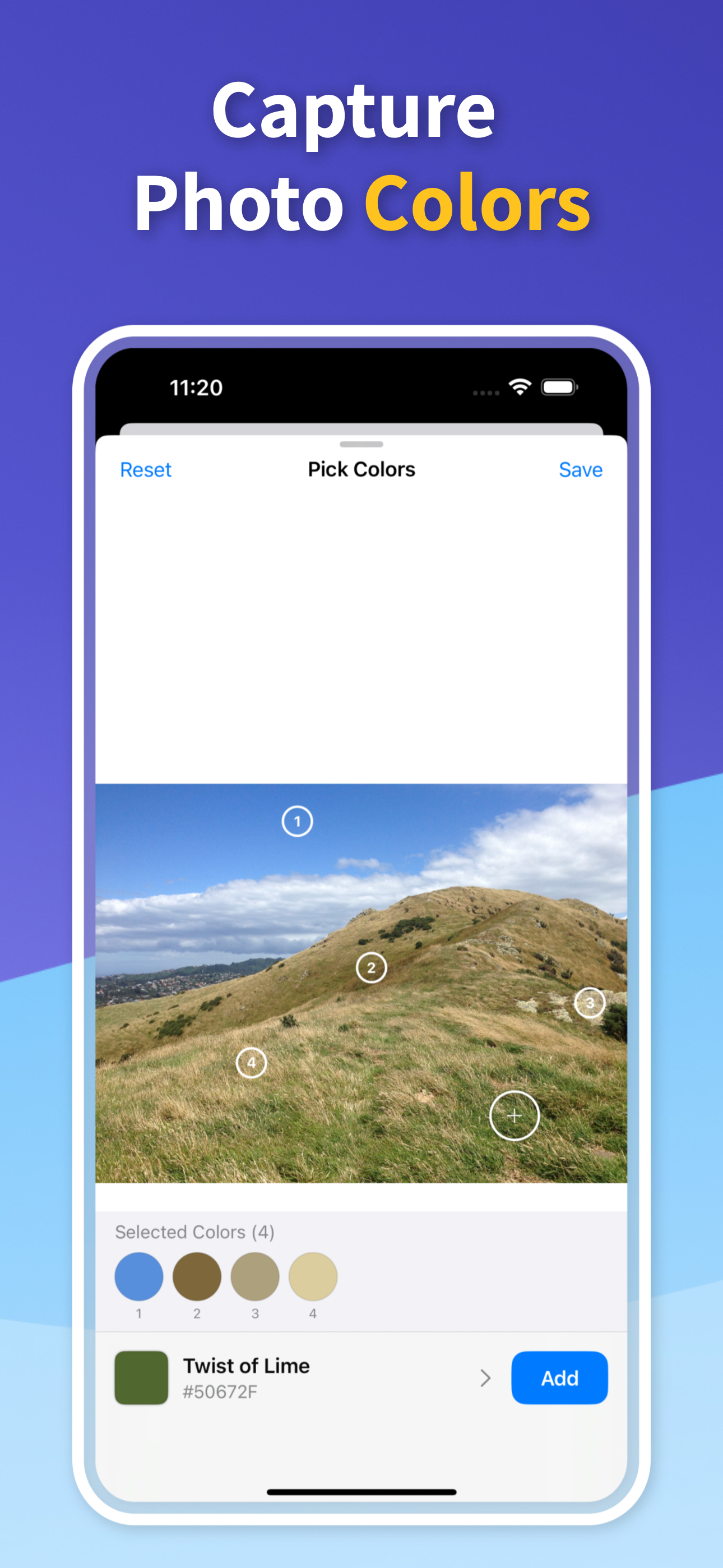 Saved Color Palettes