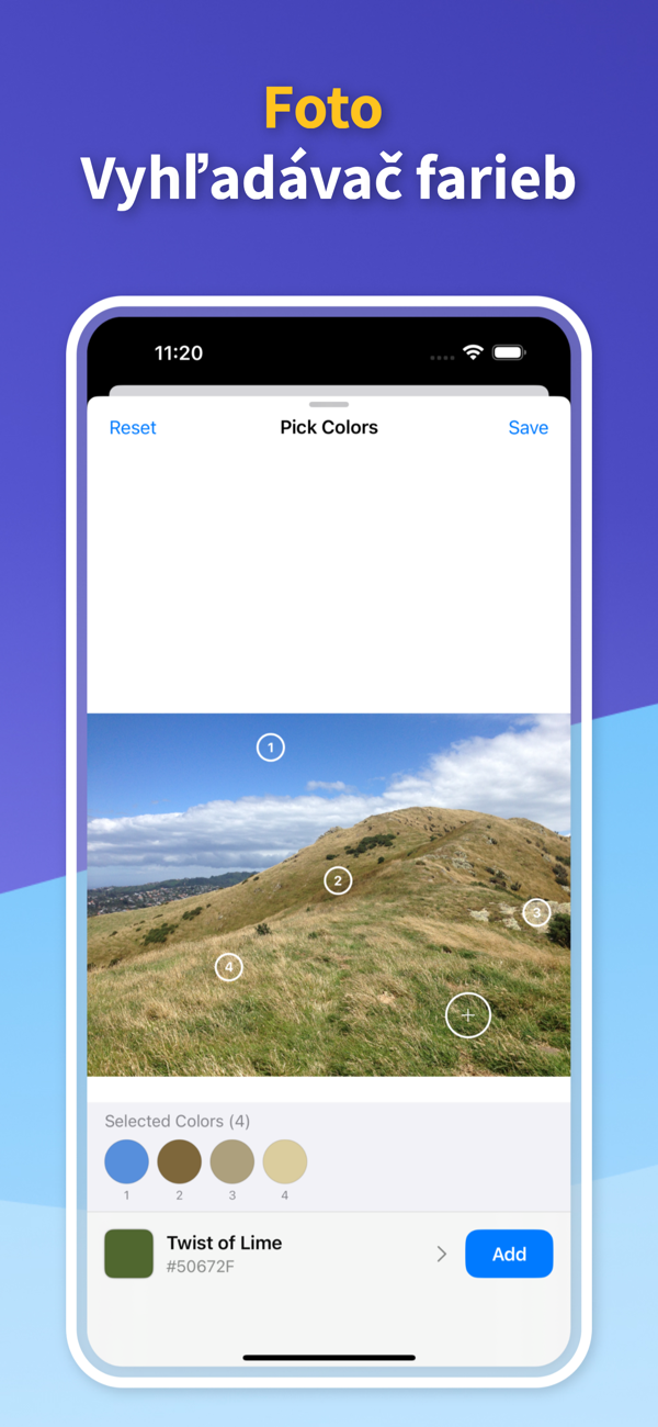Saved Color Palettes