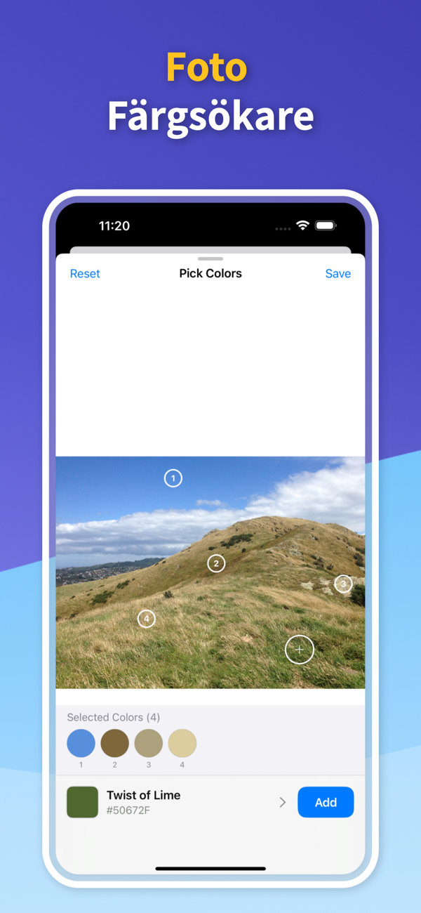 Saved Color Palettes