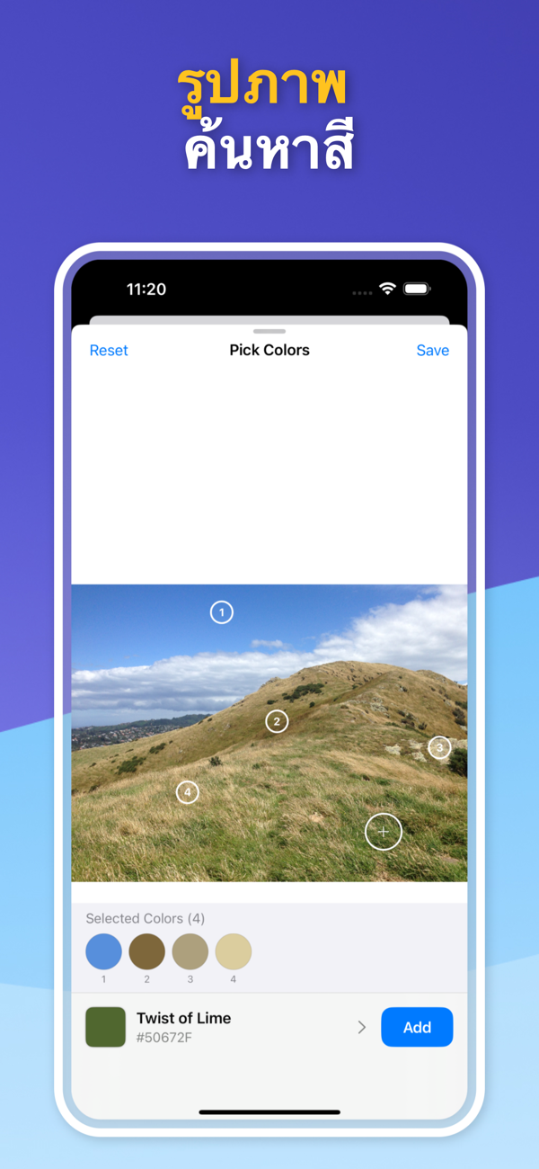 Saved Color Palettes