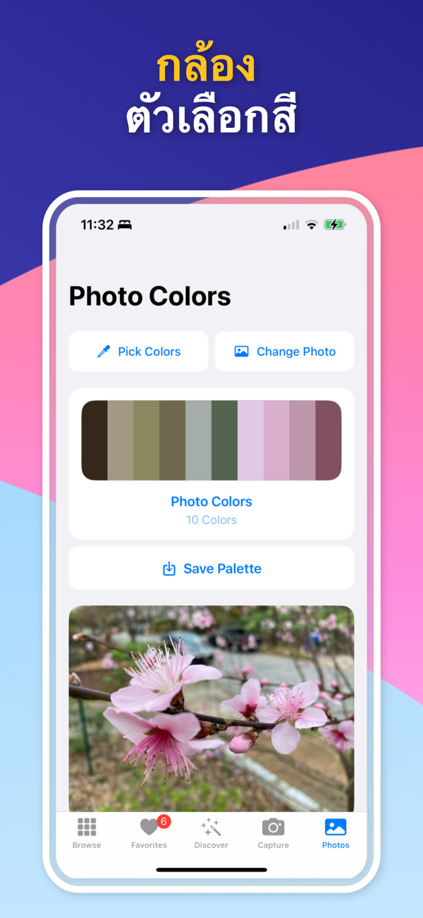 Custom Palette Creator