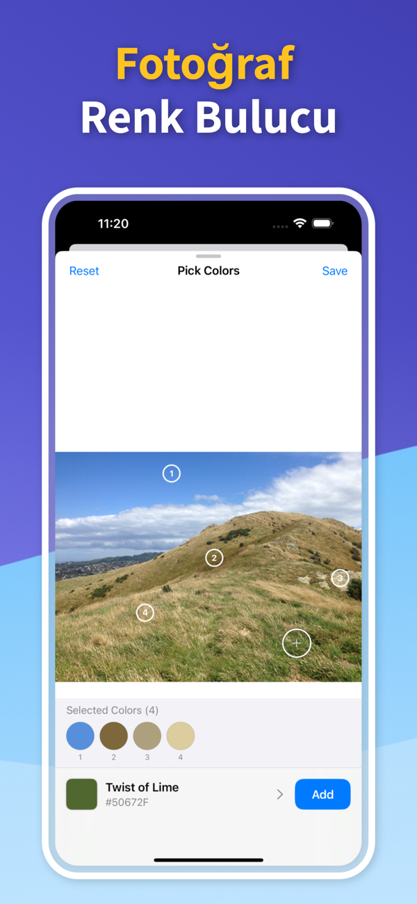 Saved Color Palettes