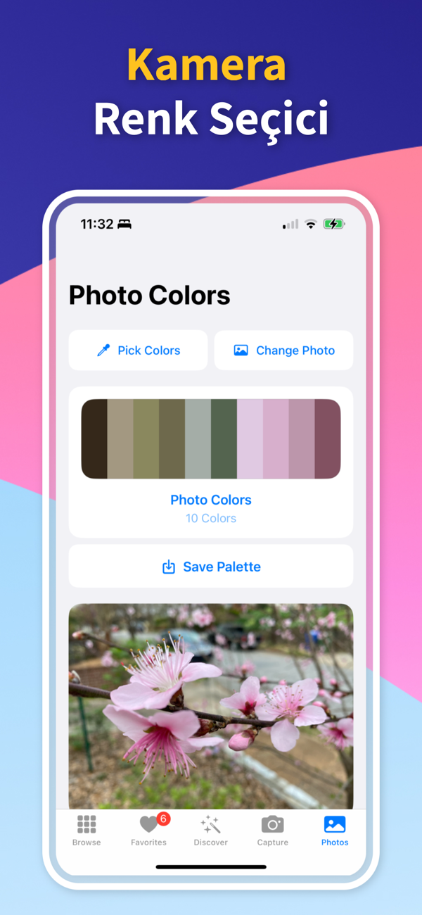 Custom Palette Creator