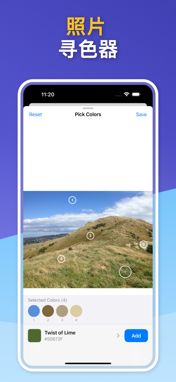 Saved Color Palettes
