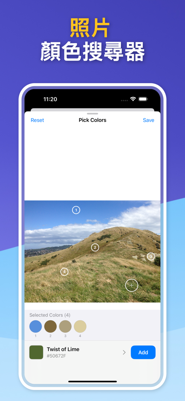 Saved Color Palettes